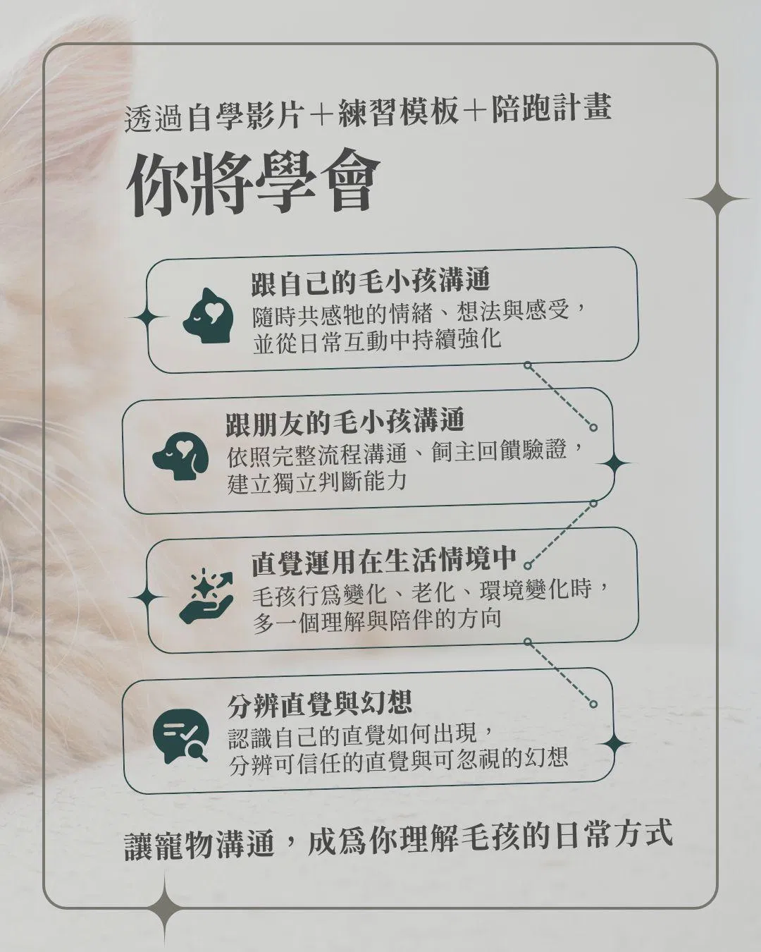 你將學會.jpg