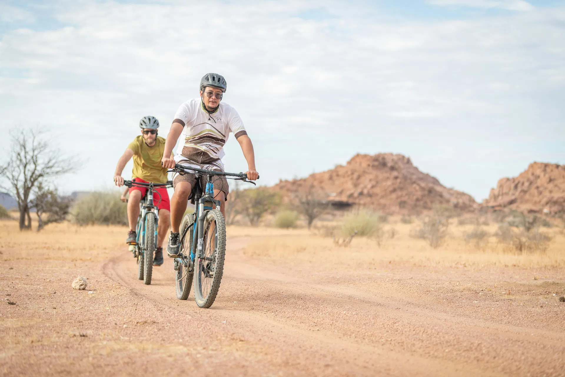 ultimate-safaris-namibia--dghvS0wmYM-unsplash.jpg