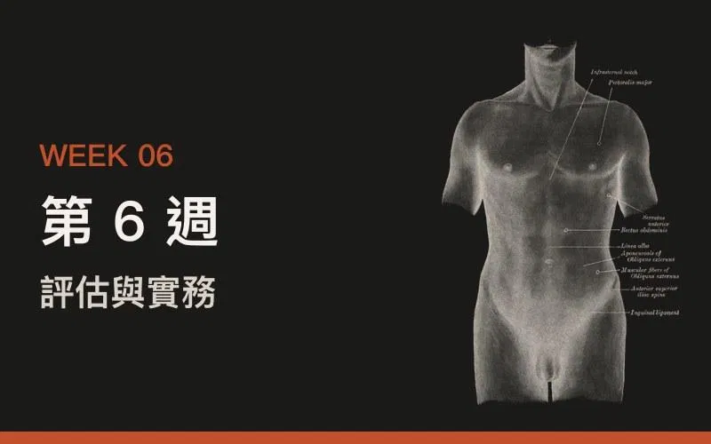 第 6 週