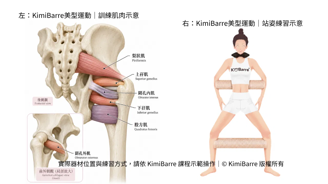 KimiBarre夾鼠蹊肌肉.png