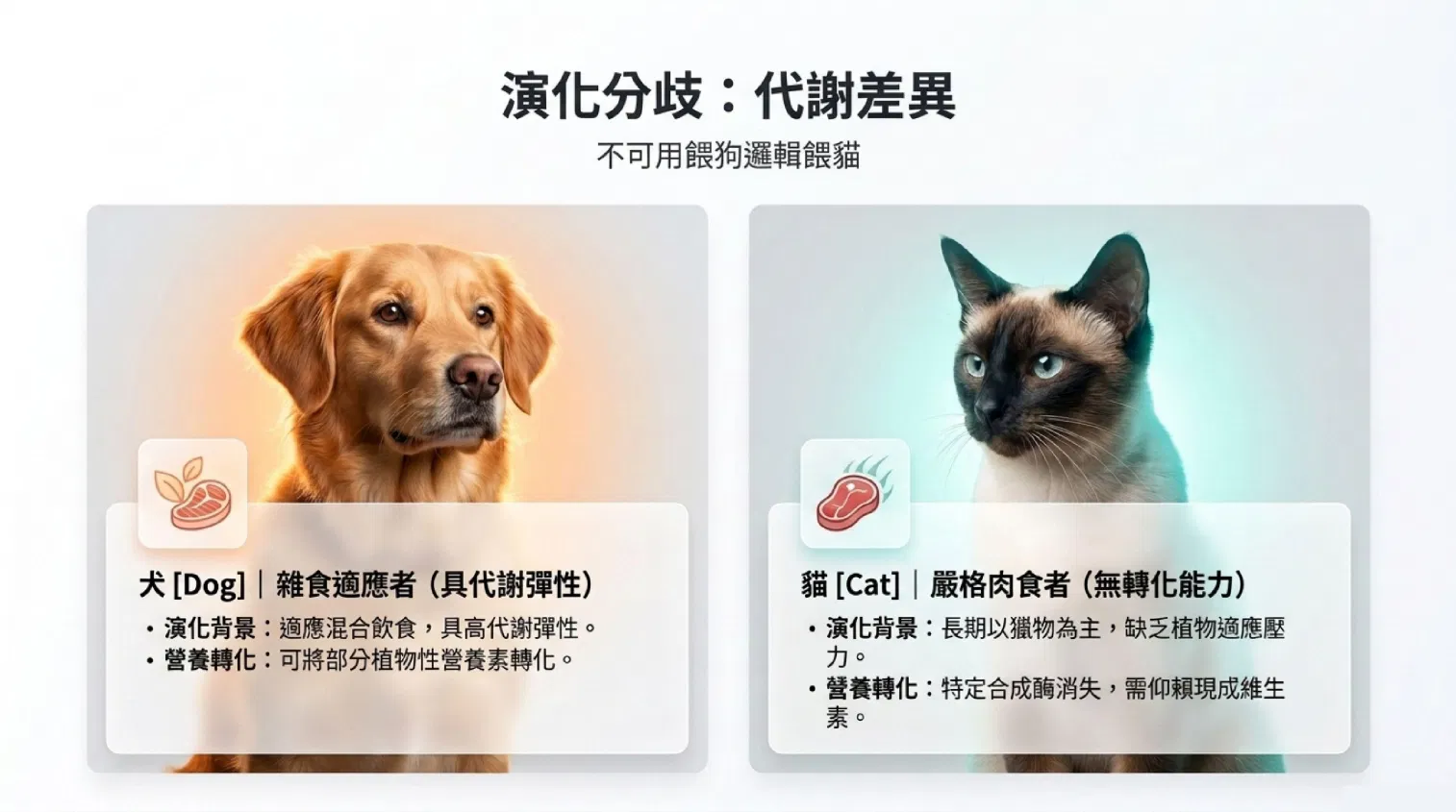pet-vitamins1.png