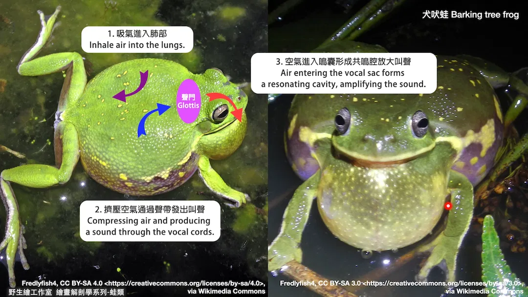 截圖 2026-04-21 晚上8.49.04.png
