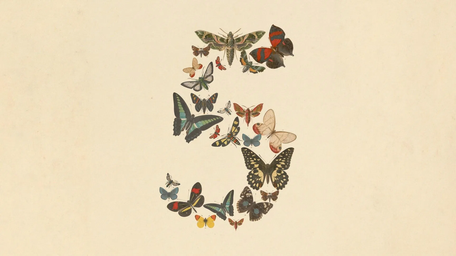 Claude Fable 5 官方主視覺,以蝴蝶標本拼成數字 5,象徵這款 Mythos 等級模型的能力邊界