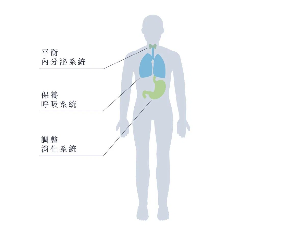 圖三.jpg