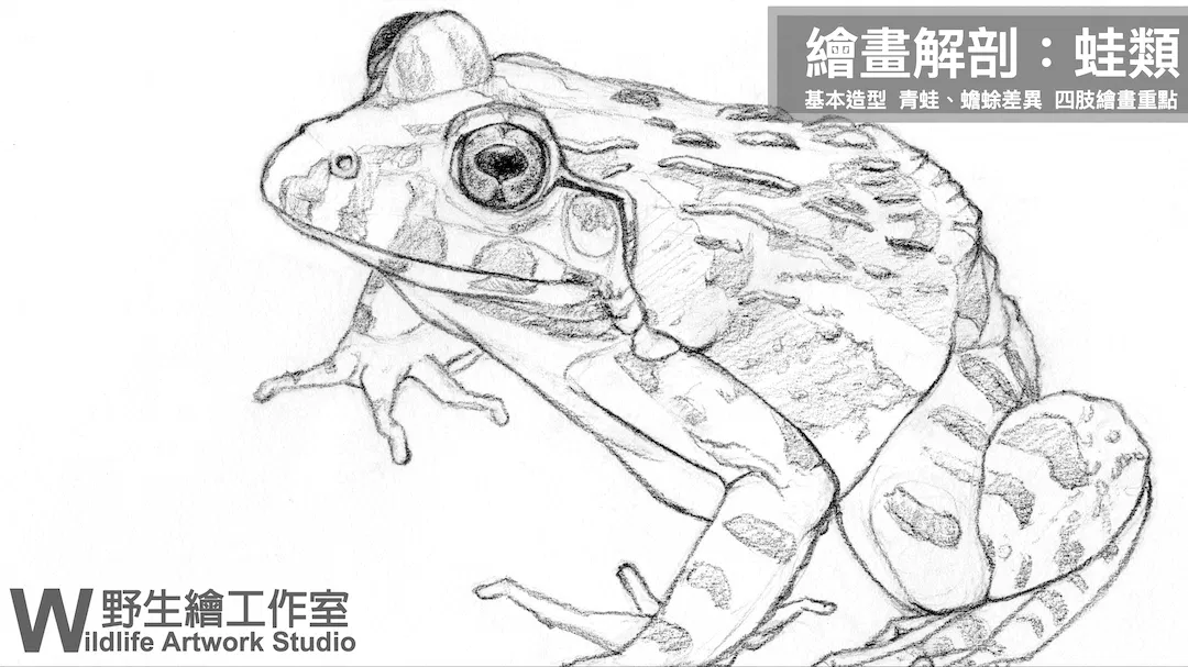 截圖 2026-04-21 下午6.57.14.png