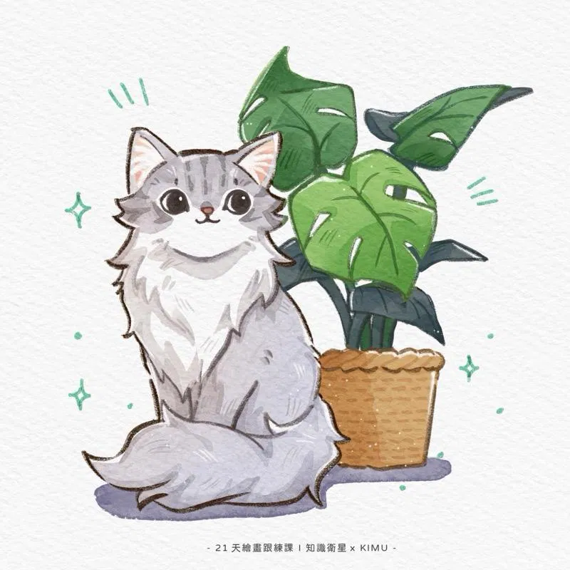 長毛貓與龜背芋