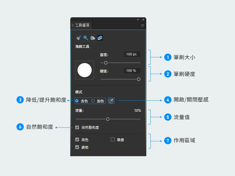海綿工具_工具選項.png