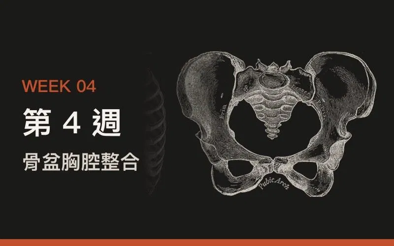 第 4 週