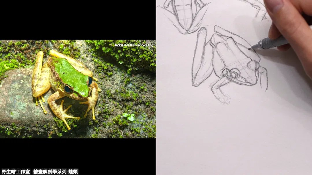 截圖 2026-04-21 晚上8.38.30.png