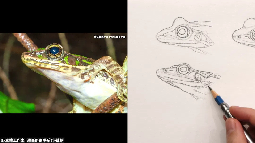 截圖 2026-04-21 晚上8.31.54.png