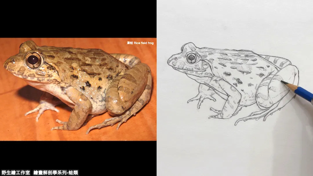 截圖 2026-04-21 晚上8.50.19.png