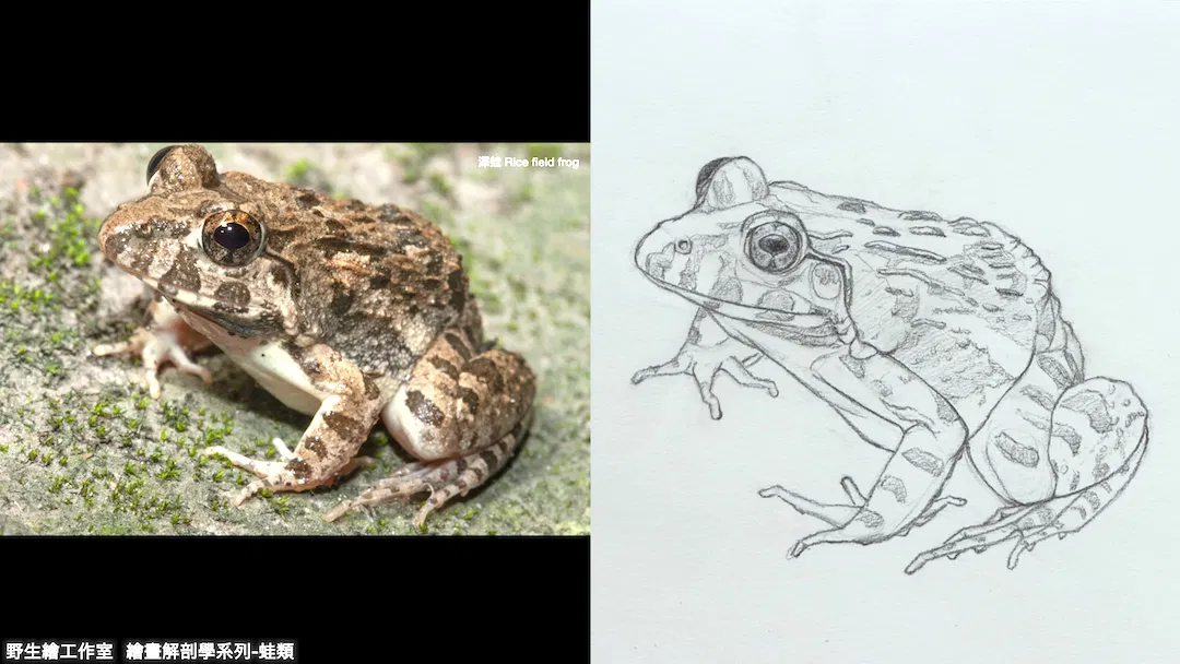 截圖 2026-04-21 晚上10.22.47.png