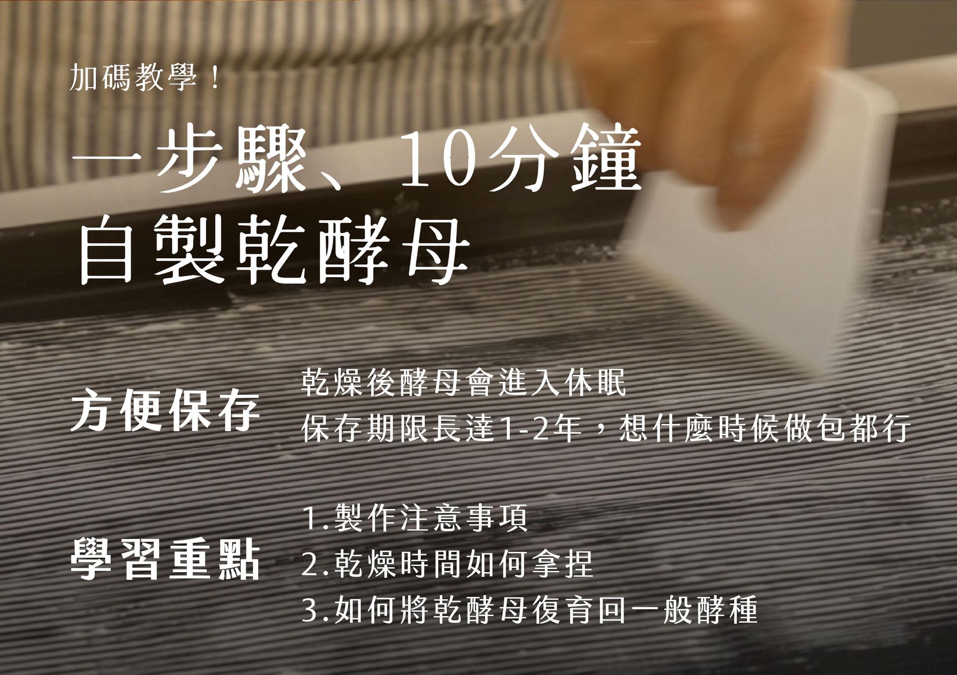 快速自製乾酵母