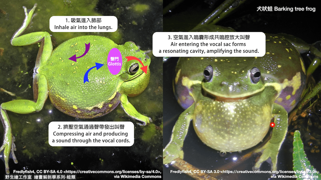 截圖 2026-04-21 晚上8.49.04.png