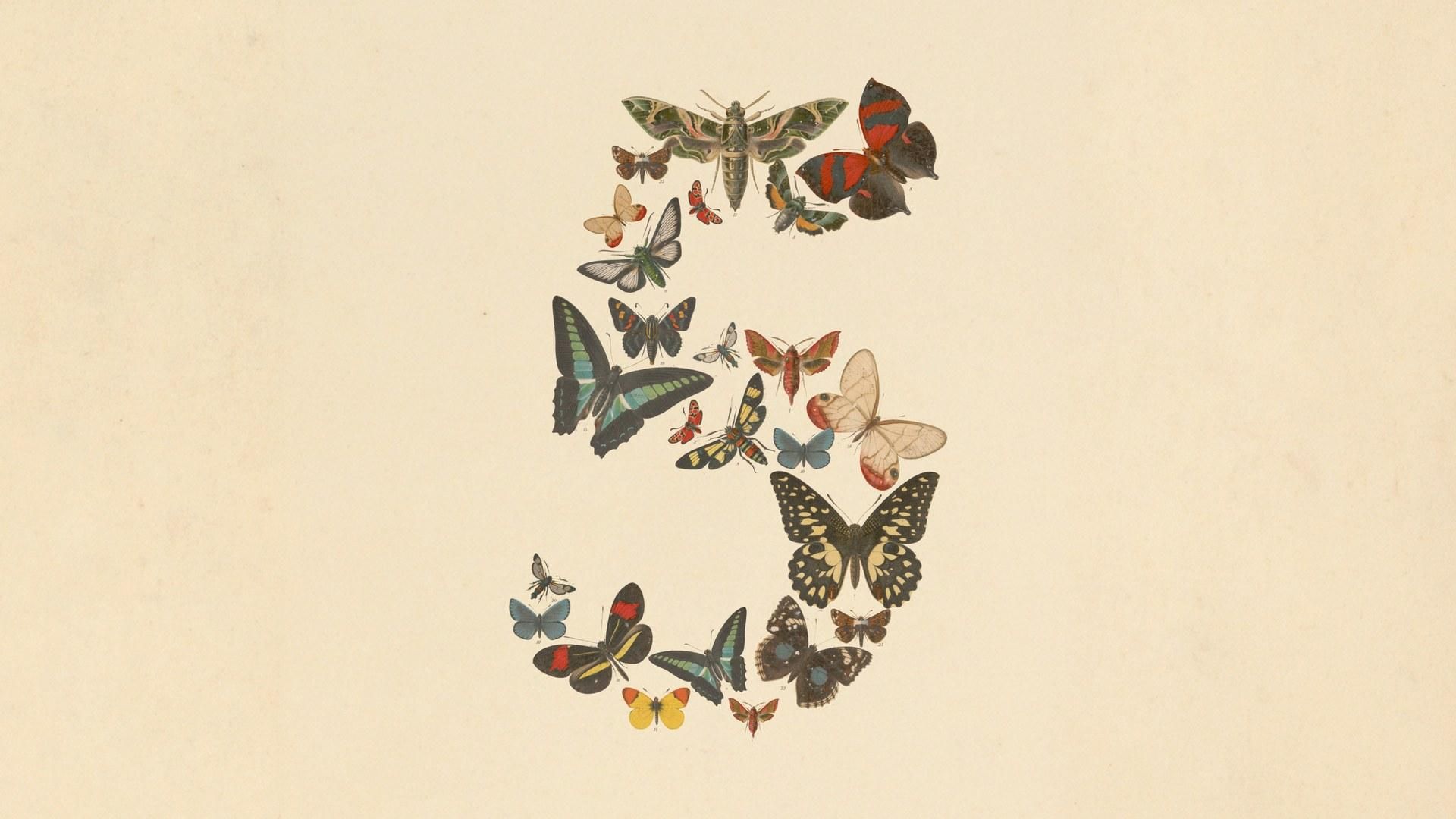 Claude Fable 5 官方主視覺,以蝴蝶標本拼成數字 5,象徵這款 Mythos 等級模型的能力邊界