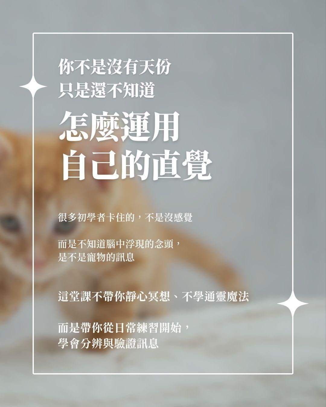 你不是沒天份.jpg