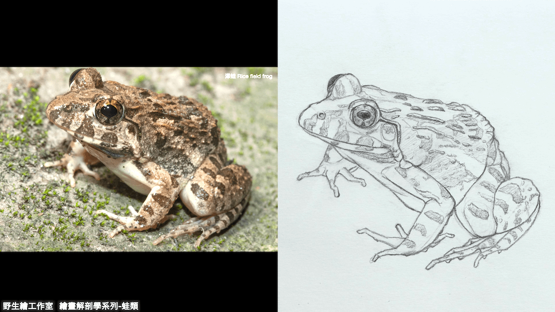 截圖 2026-04-21 晚上10.22.47.png