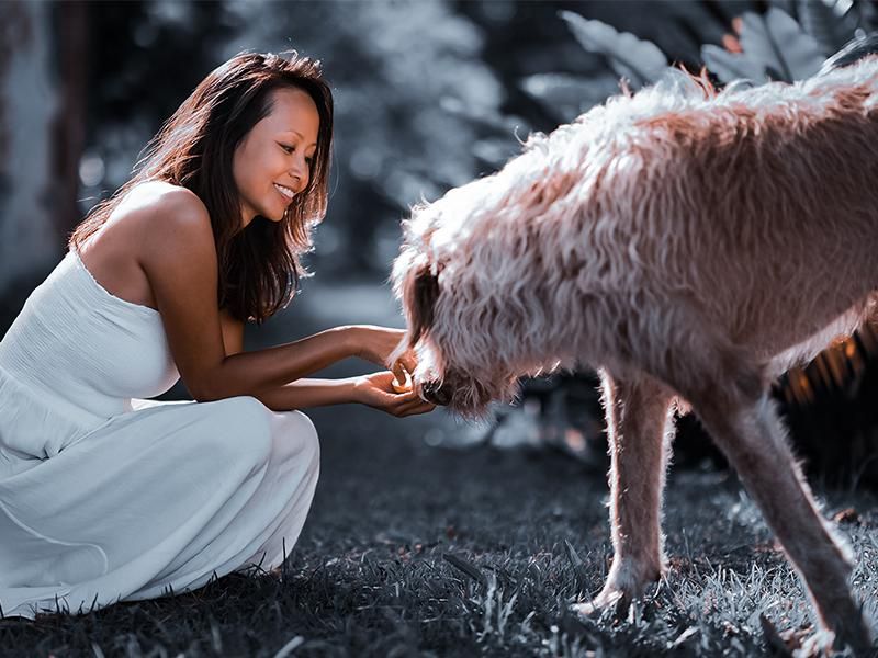 無國界遠距課程:感知開發 - 回到自己