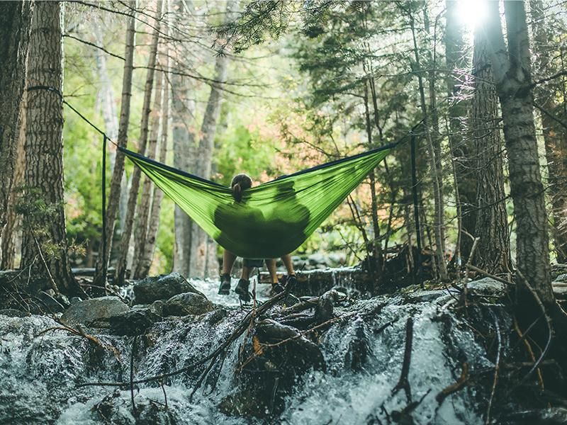 希塔療癒® － 伴侶與我