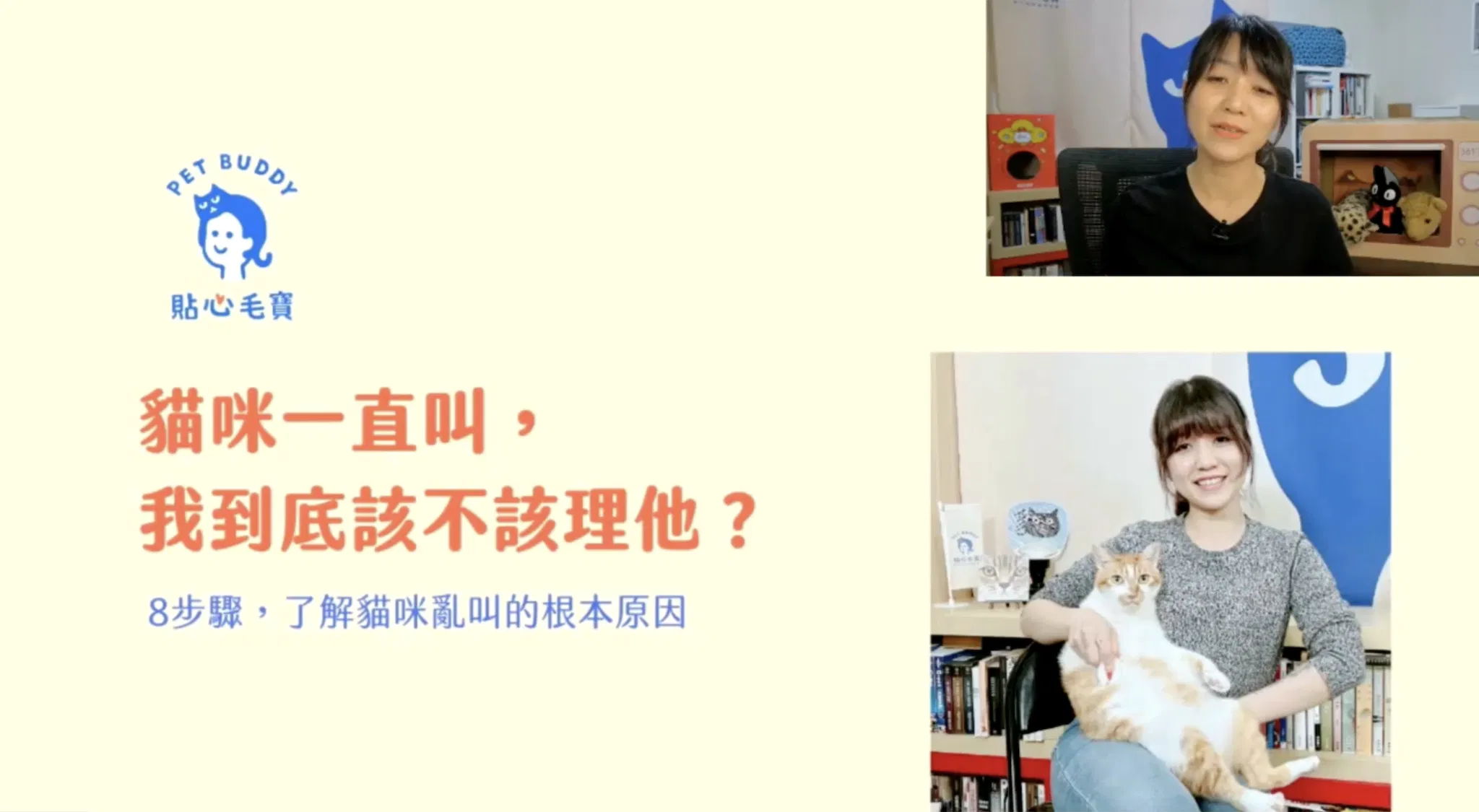 貓咪一直叫，我到底該不該理他？