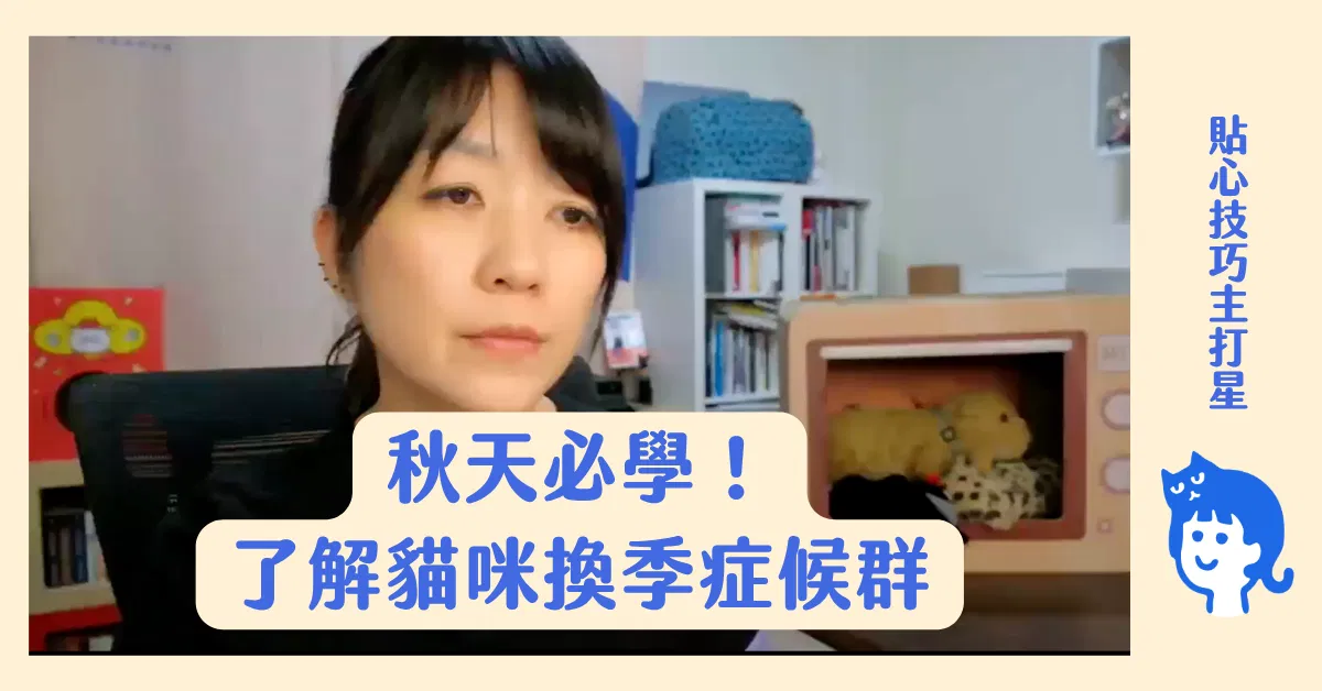 貓奴秋天必學！認識貓咪換季症候群