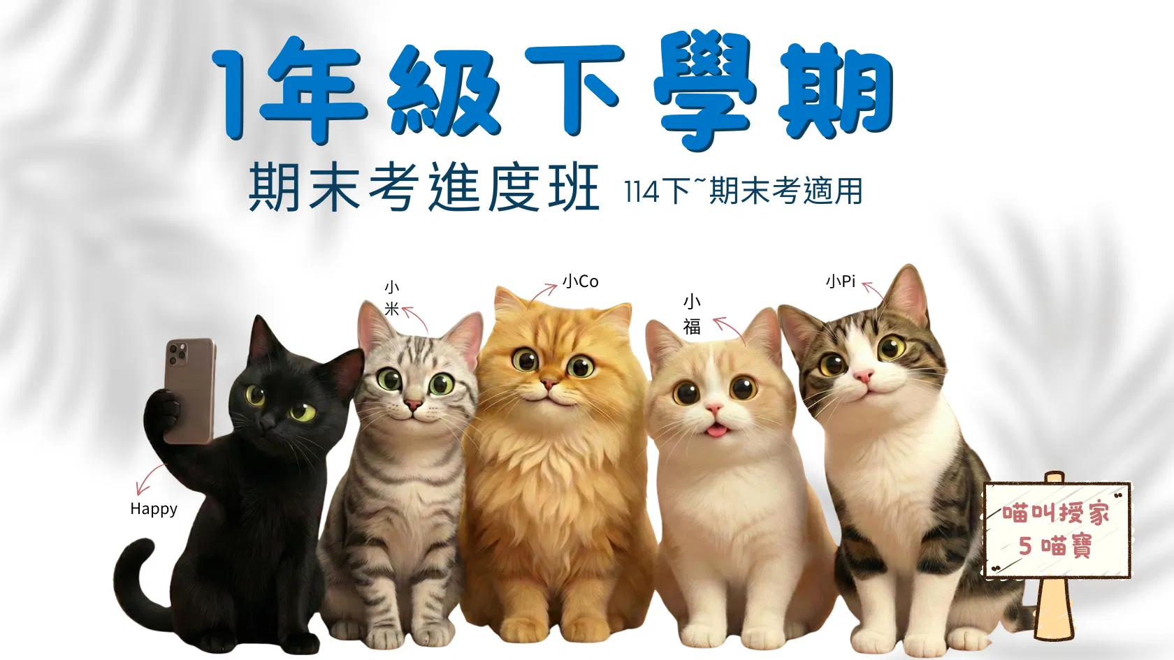 114年1下,共10周期末考進度班-喵叫授國小數學