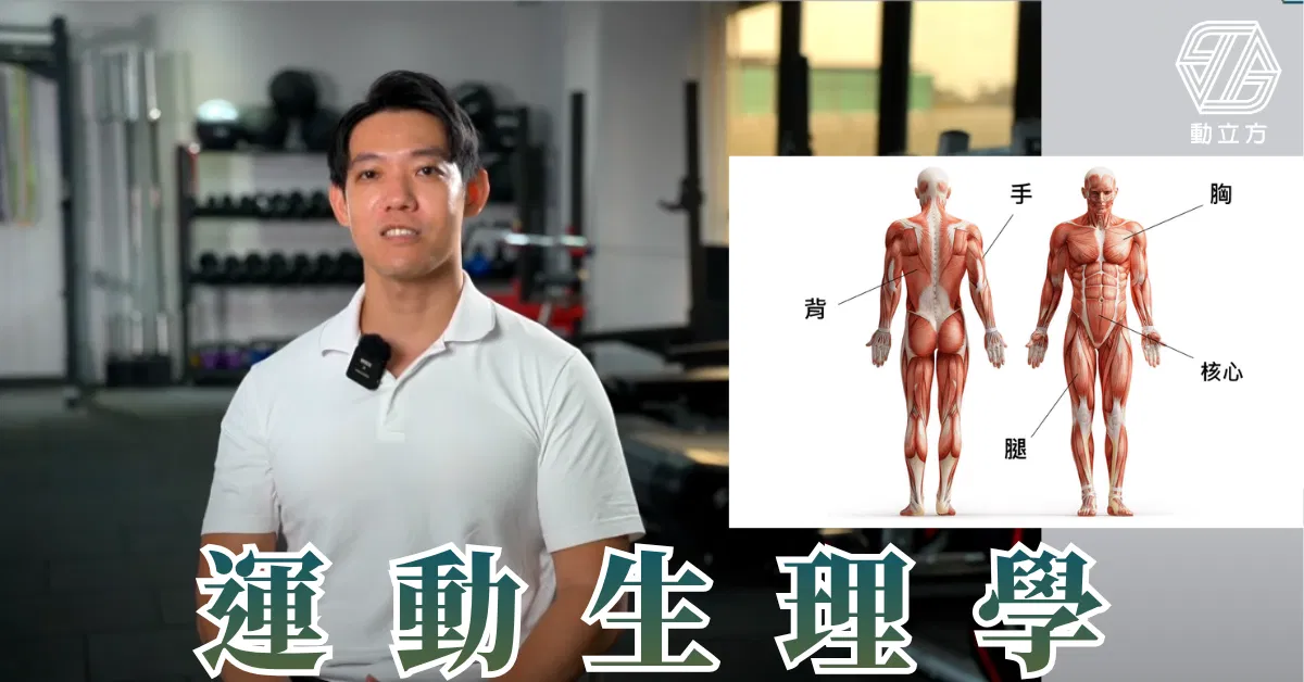 動立方運動生理學