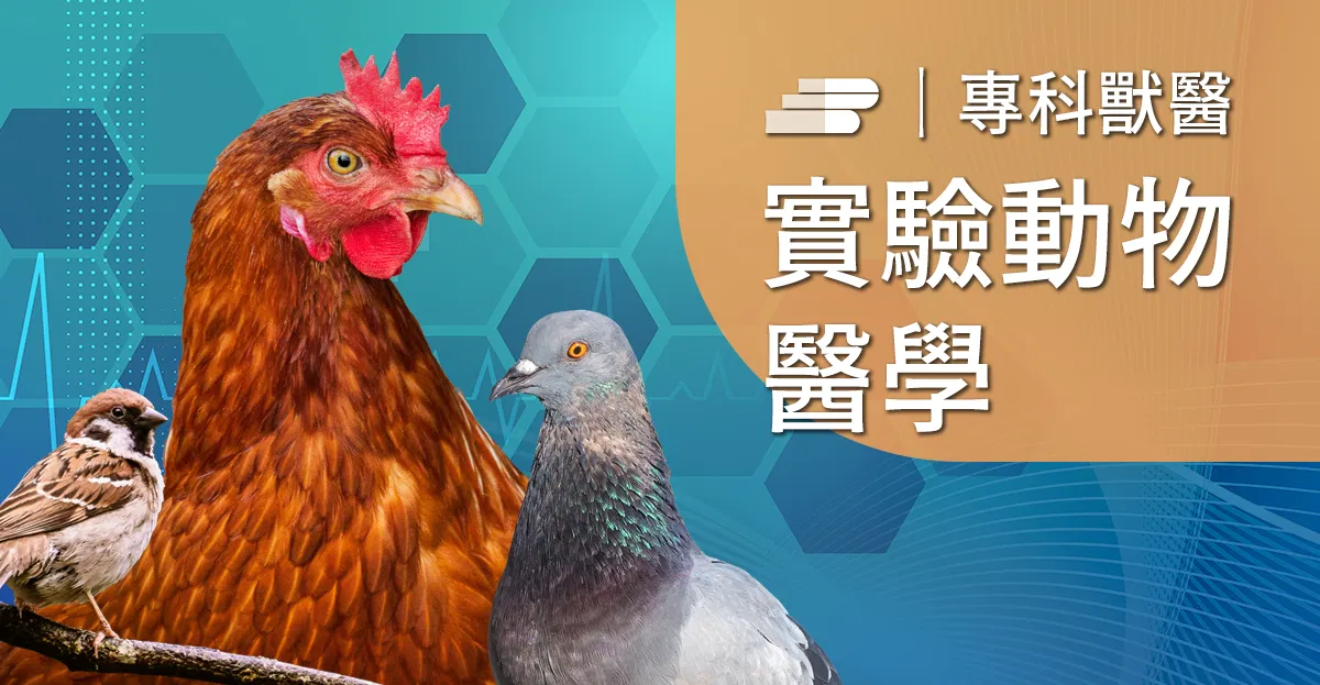鳥禽類動物常見疾病
