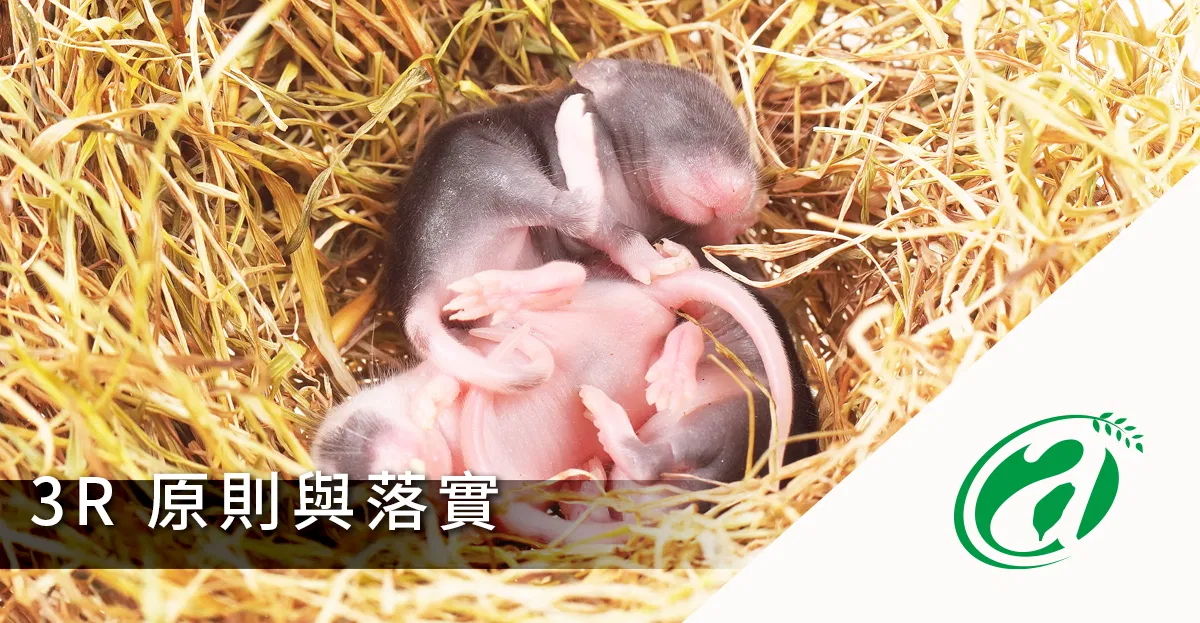 [線上課程]動物實驗3R原則與落實
