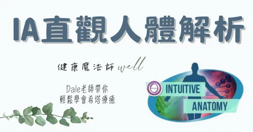 希塔療癒「IA直觀人體解析」