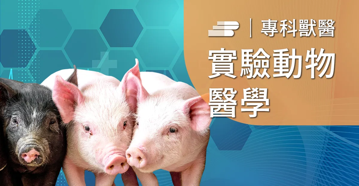 豬隻常見疾病