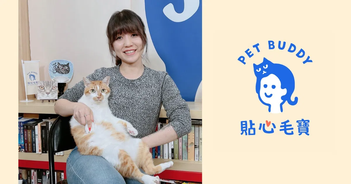 上完課還是無法解決問題？｜一對一貓行為諮商