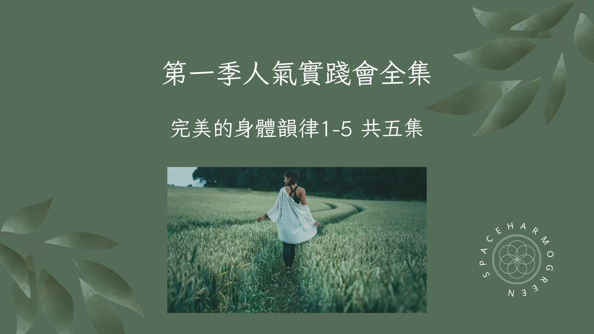  第一季人氣實踐會全集 完美的身體韻律1-5 共五集