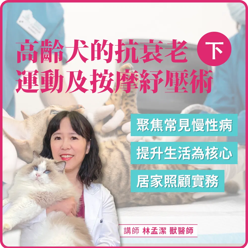 4/27(一) 19:30 高齡犬的抗衰老運動及按摩紓壓術(下)