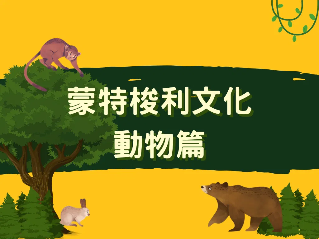 蒙特梭利 - 文化｜動物