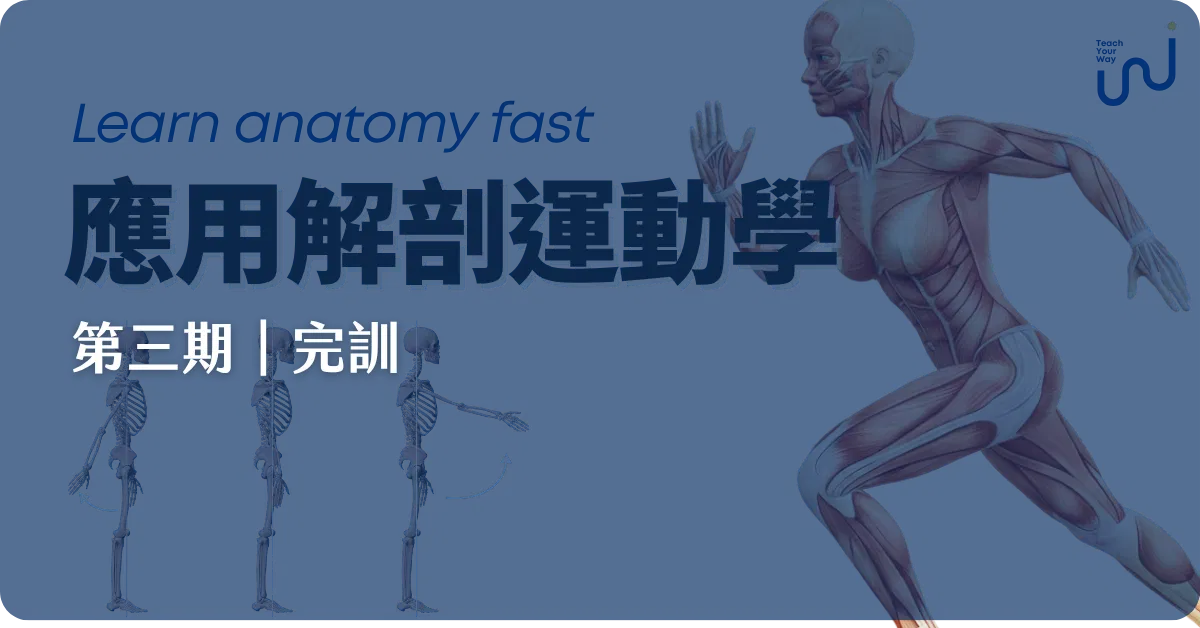 【第三期完訓】應用解剖運動學（下一期年底公布）