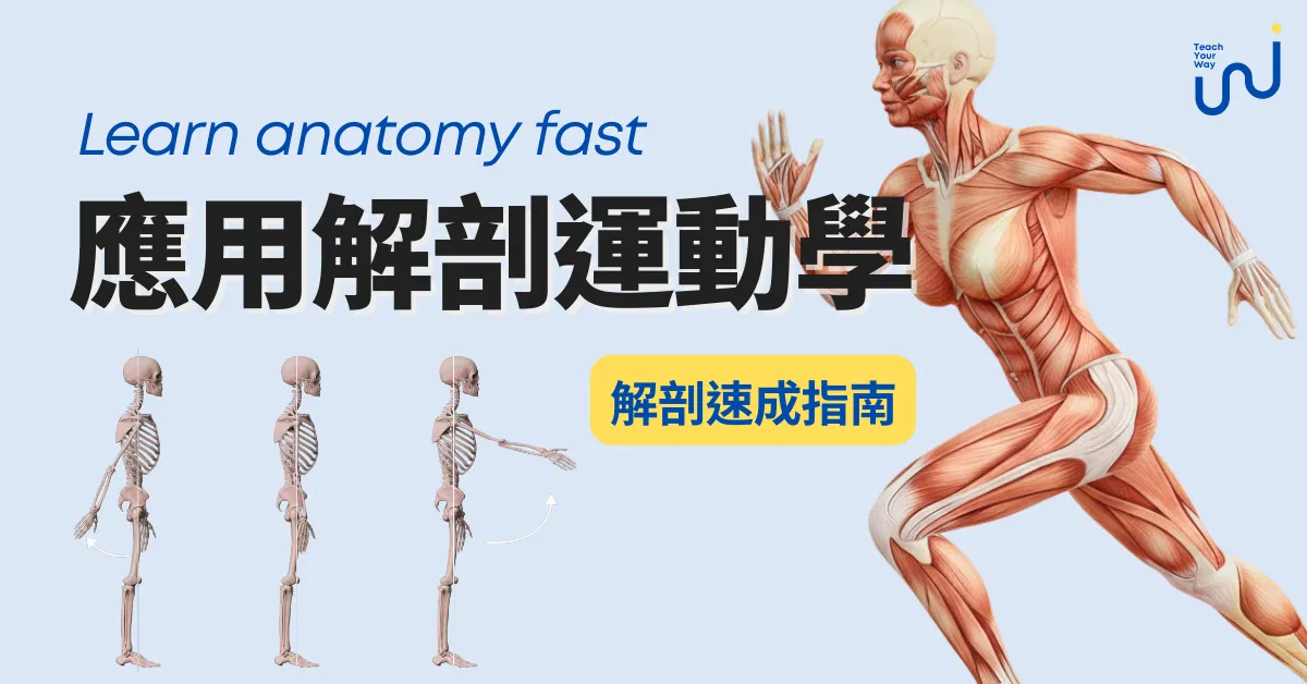 【第三期直播課】應用解剖運動學（已開課）