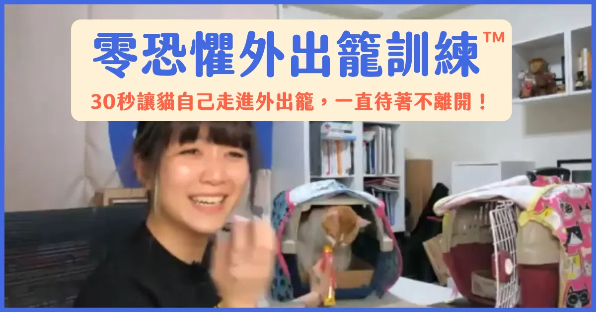 帶貓出門不必先打仗｜貼心毛寶｜零恐懼外出籠訓練™