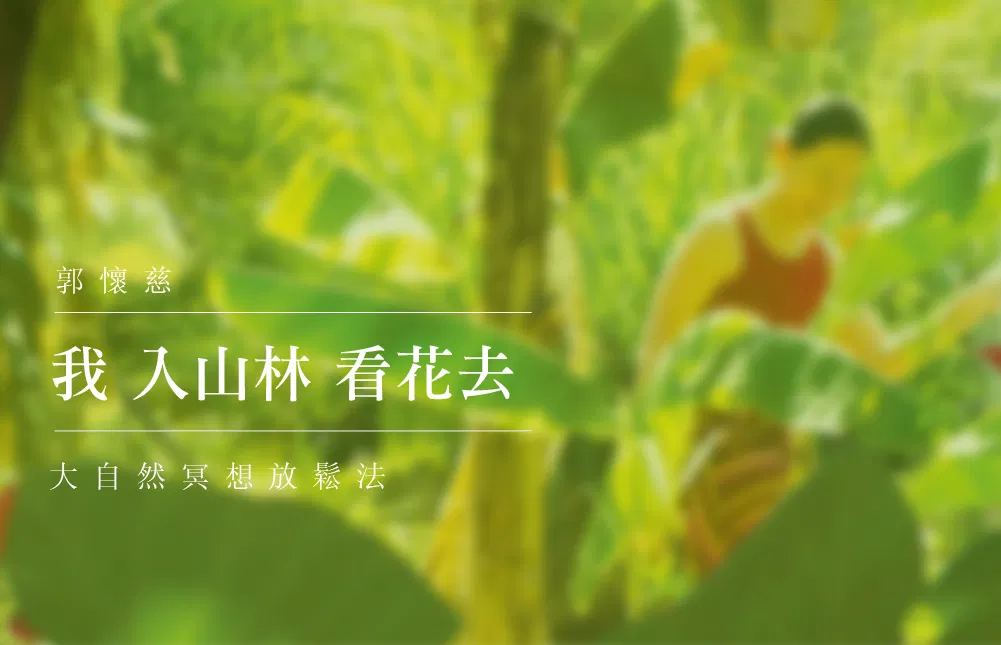 我入山林看花去：大自然冥想放鬆法