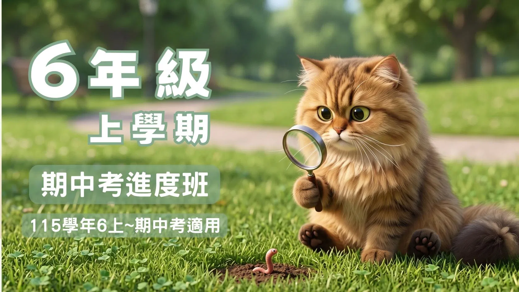 115小六數學 - 線上家教｜6上期中考進度班 - 喵叫授國小數學