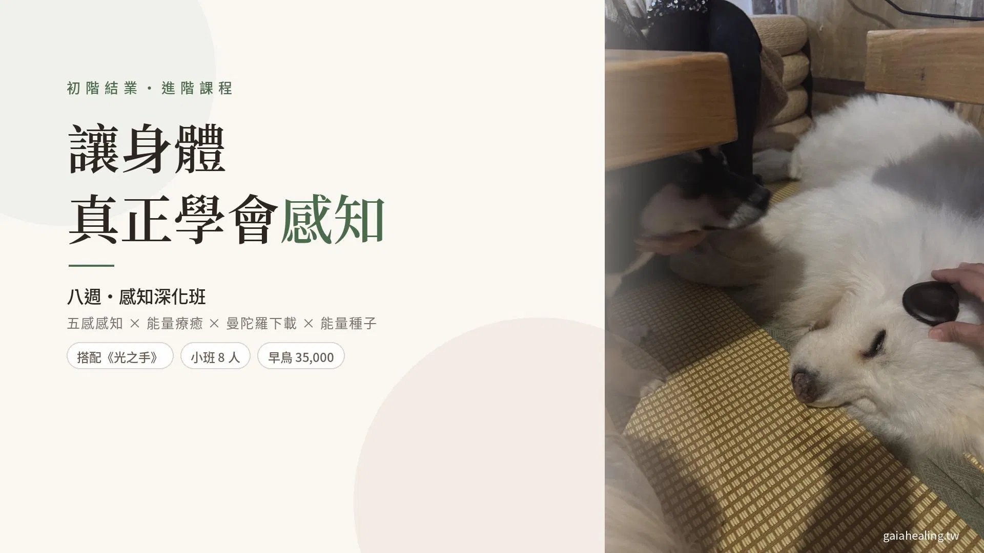 傳心療癒・進階課程｜八週・感知深化班