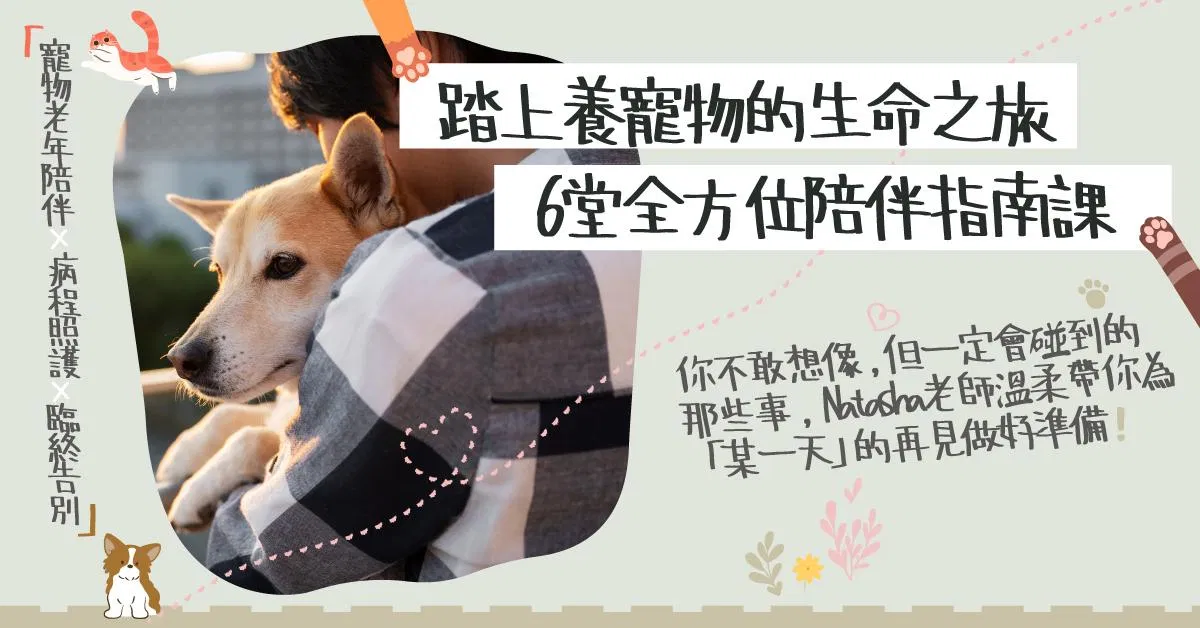 踏上養寵物的生命之旅：6堂全方位陪伴指南課