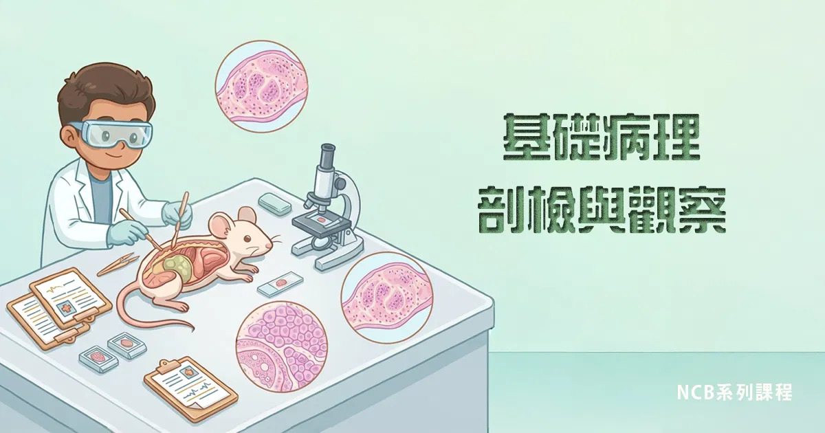 基礎病理剖檢與觀察