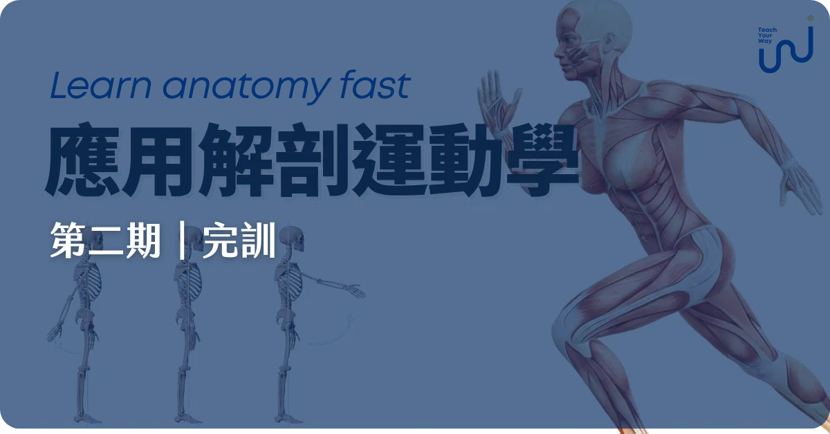 【第二期完訓】應用解剖運動學
