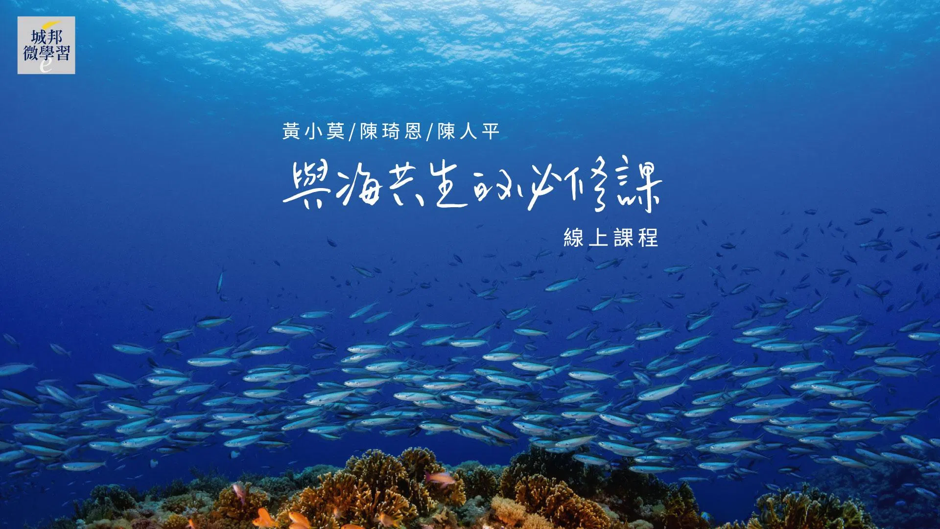 與海共生的必修課：設計屬於你的愛海生活