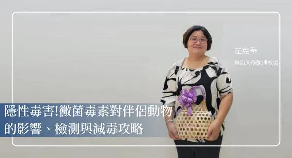 隱性毒害防治全攻略：寵物食品黴菌毒素防禦與減毒實戰課