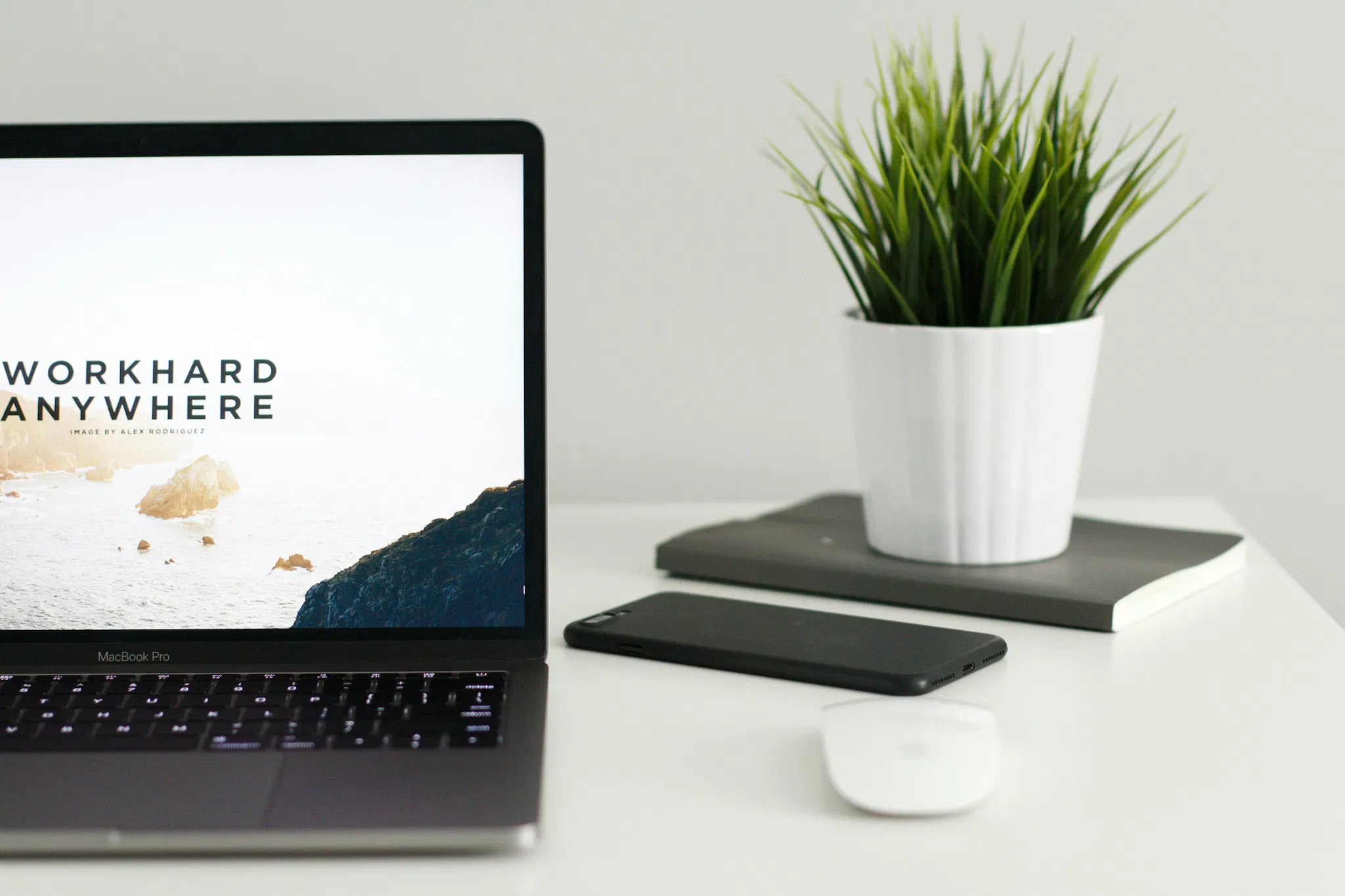 Assertiveness and Confidence Mastery Certification Diploma Course