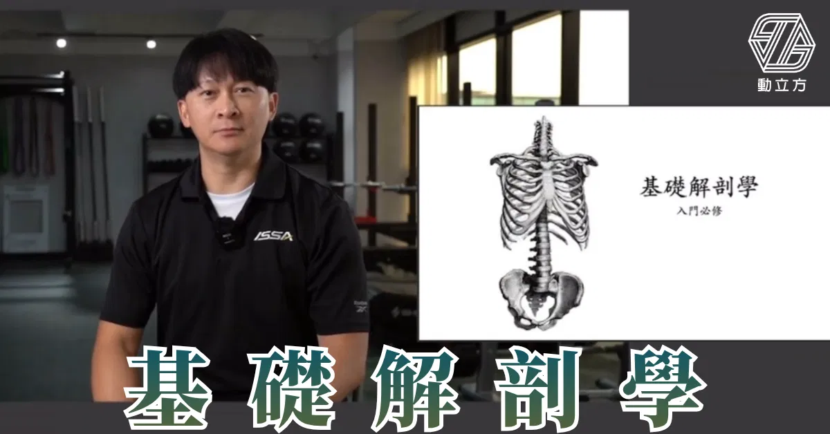 動立方基礎解剖學