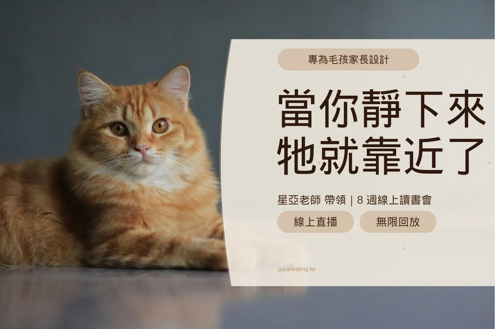 專為毛孩家長設計的能量溝通入門課