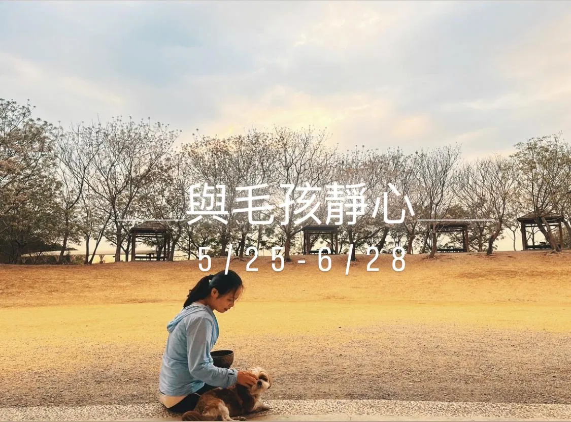 與毛孩靜心